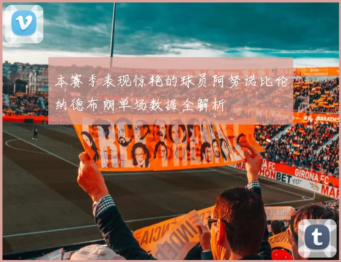 本赛季表现惊艳的球员阿努诺比伦纳德布朗单场数据全解析