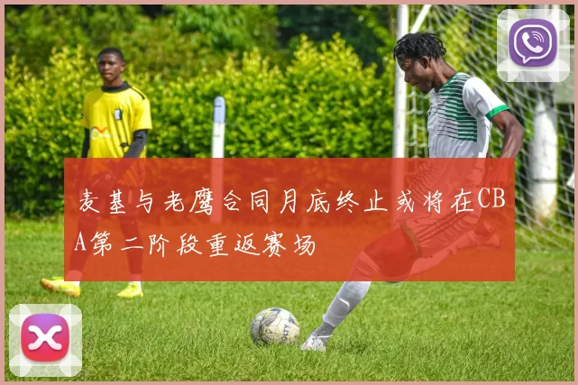 麦基与老鹰合同月底终止或将在CBA第二阶段重返赛场