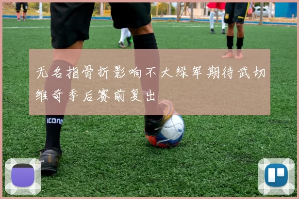 无名指骨折影响不大绿军期待武切维奇季后赛前复出