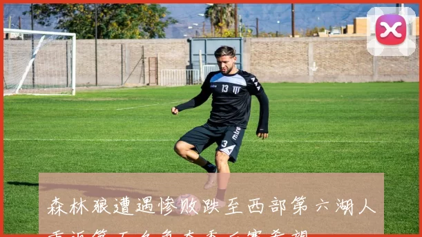 森林狼遭遇惨败跌至西部第六湖人重返第五名争夺季后赛希望